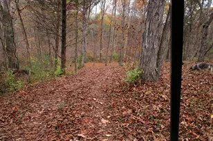 11 5 Ac Osborne Rd, Dry Ridge, KY 41035 - Photo 35