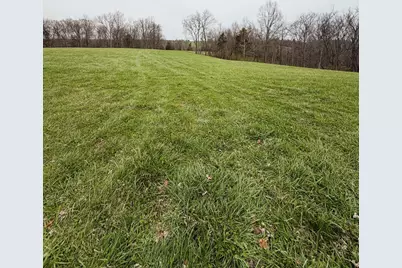 11.5 Ac Osborne Road, Dry Ridge, KY 41035 - Photo 7