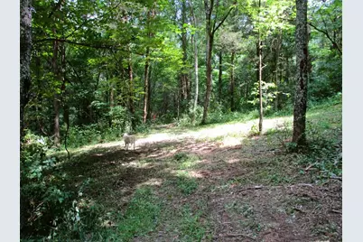 11.5 Ac Osborne Road, Dry Ridge, KY 41035 - Photo 21