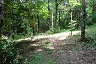 11 5 Ac Osborne Rd, Dry Ridge, KY 41035 - Photo 21