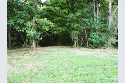 11.5 Ac Osborne Road, Dry Ridge, KY 41035 - Photo 11