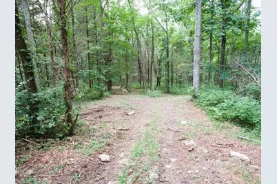 11.5 Ac Osborne Road, Dry Ridge, KY 41035 - Photo 15