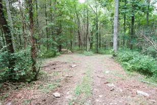 11 5 Ac Osborne Rd, Dry Ridge, KY 41035 - Photo 15