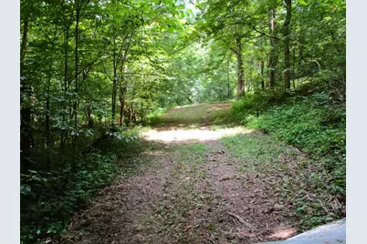 11.5 Ac Osborne Road, Dry Ridge, KY 41035 - Photo 19