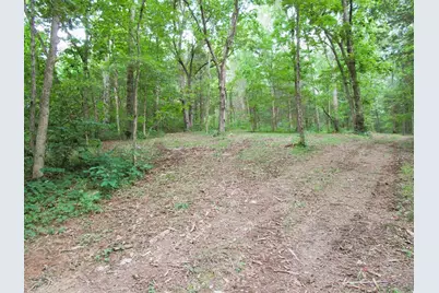 11.5 Ac Osborne Road, Dry Ridge, KY 41035 - Photo 27