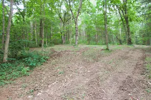 11 5 Ac Osborne Rd, Dry Ridge, KY 41035 - Photo 27