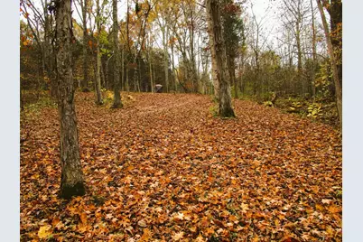 11.5 Ac Osborne Road, Dry Ridge, KY 41035 - Photo 37