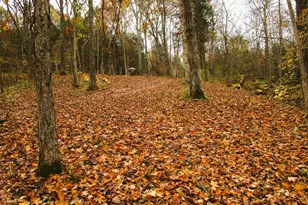 11 5 Ac Osborne Rd, Dry Ridge, KY 41035 - Photo 37