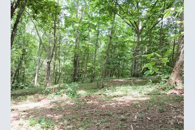 11.5 Ac Osborne Road, Dry Ridge, KY 41035 - Photo 17