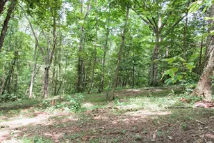 11 5 Ac Osborne Rd, Dry Ridge, KY 41035 - Photo 17