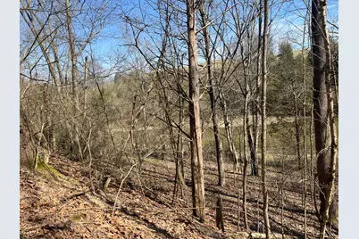 3105 Gratz Road 59 & 60, Owenton, KY 40359 - Photo 1