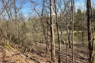 3105 Gratz Road 59 & 60, Owenton, KY 40359 - Photo 1