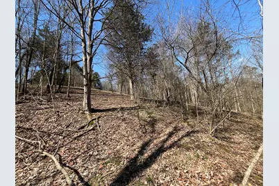 3105 Gratz Road 59 & 60, Owenton, KY 40359 - Photo 5