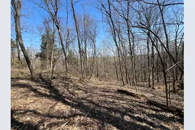 3105 Gratz Road 59 & 60, Owenton, KY 40359 - Photo 9