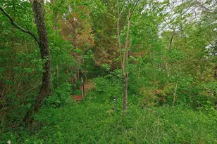 9350 Westfield Ln, Union, KY 41091 - Photo 45