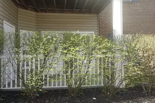 955 Mistflower Ln, Florence, KY 41042 - Photo 31