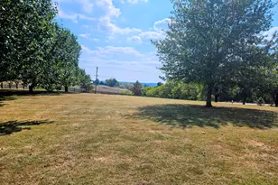 3000 US Hwy 325, Worthville, KY 41098 - Photo 43