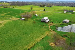 537 Grider-Anderson Rd, Science Hill, KY 42553 - Photo 21