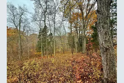 530 Rankin Mill Road, Falmouth, KY 41040 - Photo 5