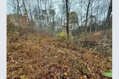 530 Rankin Mill Road, Falmouth, KY 41040 - Photo 41