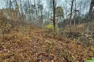 530 Rankin Mill Rd, Falmouth, KY 41040 - Photo 41