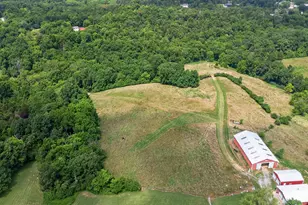 295 Fairview Rd, Williamstown, KY 41097 - Photo 41