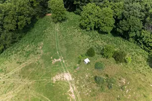 295 Fairview Rd, Williamstown, KY 41097 - Photo 43