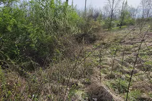 270 Cottonwood Dr, Dry Ridge, KY 41035 - Photo 19