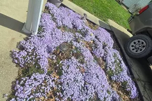 3970 Dixie Hwy, Dry Ridge, KY 41035 - Photo 45