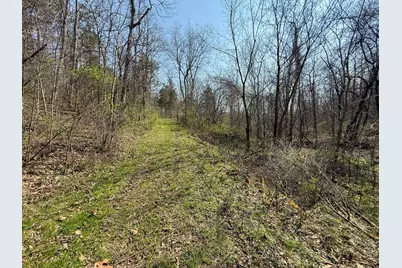 4077 Justin Scott Lane, Germantown, KY 41044 - Photo 29