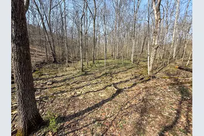 4077 Justin Scott Lane, Germantown, KY 41044 - Photo 23