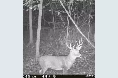 4077 Justin Scott Lane, Germantown, KY 41044 - Photo 47