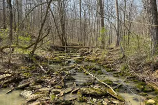 4077 Justin Scott Ln, Germantown, KY 41044 - Photo 1