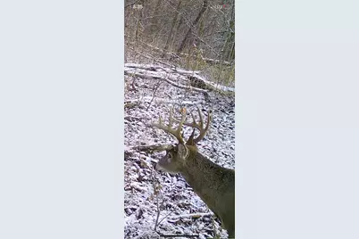 4077 Justin Scott Lane, Germantown, KY 41044 - Photo 43