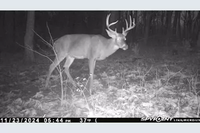 4077 Justin Scott Lane, Germantown, KY 41044 - Photo 45