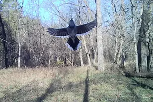 755 Reed Kinman Rd, Williamstown, KY 41097 - Photo 49