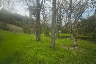 755 Reed Kinman Rd, Williamstown, KY 41097 - Photo 45