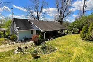 5551 Blue Licks Pike, Mount Olivet, KY 41064 - Photo 33