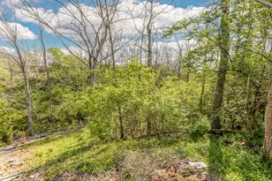 799 Crocus Ln, Taylor Mill, KY 41015 - Photo 49