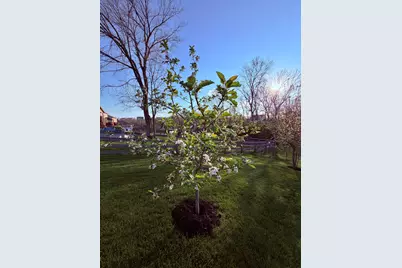 10716 Blooming Court, Independence, KY 41051 - Photo 25