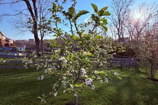 10716 Blooming Ct, Independence, KY 41051 - Photo 25