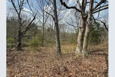 0 Ky-3103 Road, Owenton, KY 40359 - Photo 5