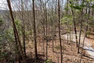 Lot 35 Sunset Valley Development, Campton, KY 41301 - Photo 9