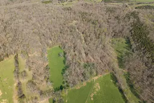 1810 Twin Creek Rd, Sadieville, KY 40370 - Photo 29