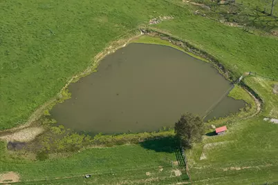 1810 Twin Creek Road, Sadieville, KY 40370 - Photo 43