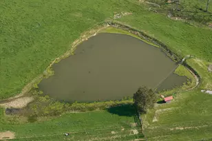 1810 Twin Creek Rd, Sadieville, KY 40370 - Photo 43