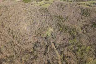 1810 Twin Creek Rd, Sadieville, KY 40370 - Photo 31