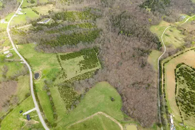 0 Par.A&b Gumlick Road, Falmouth, KY 41040 - Photo 27