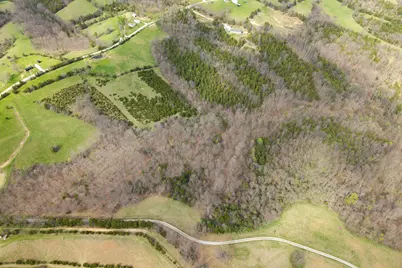 0 Parcel B Gumlick Road, Falmouth, KY 41040 - Photo 25