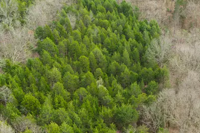 0 Parcel B Gumlick Road, Falmouth, KY 41040 - Photo 33